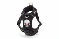 Hunter Krazy Scull XS verschiedene Ansichten