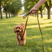 Karlie Rondo Soft Leine 16mm in Verwendung - Komfortabler Griff beim Spaziergang