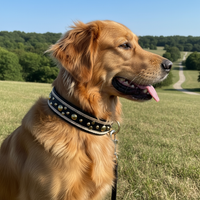 Karlie Art Buffalo Oak Halsband in Verwendung