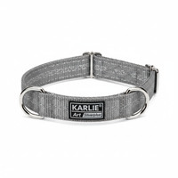 Karlie Art Sportiv Silverplus Halsband Grau 24mm x 45-65cm Hauptansicht