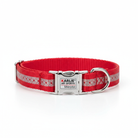 Karlie Art Sportiv Silverplus Halsband Rot 20mm x 40-55cm Hauptansicht