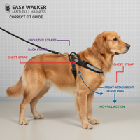 Karlie Easy Walker L Anwendung