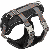 Karlie Easy Walker L Detail