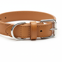 Karlie Halsband Buffalo Beschläge