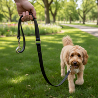 Karlie Leine Schwarz in Verwendung