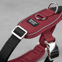 Karlie Teflon Geschirr No Limit Rot 25mm x 65-100cm Detail