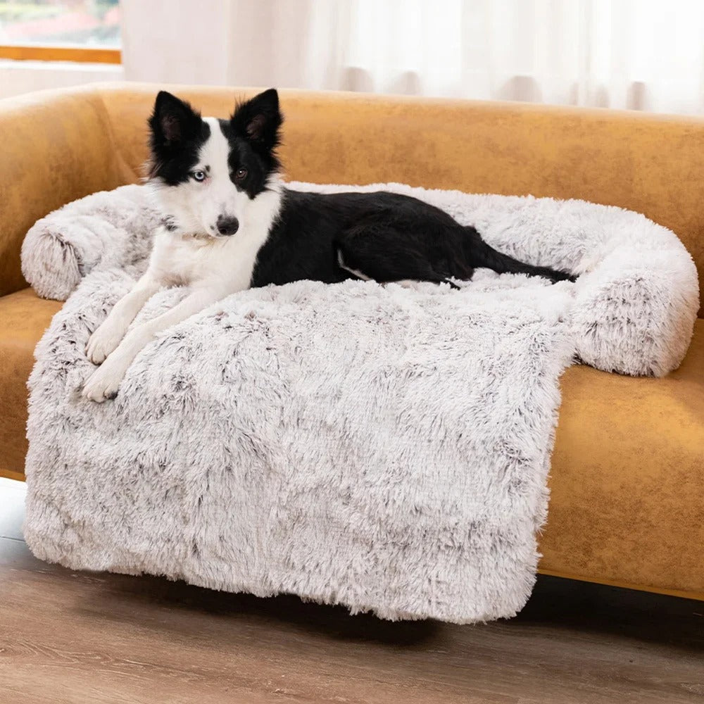 Bequemes Hundesofa