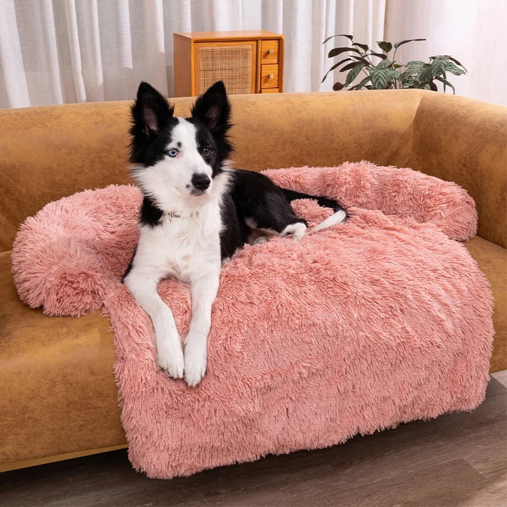 Bequemes Hundesofa