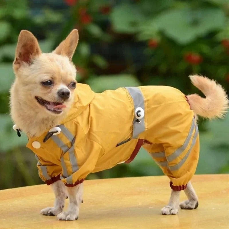 Wasserdichte Hundekleidung für kleine Hunde Haustier Regenmäntel