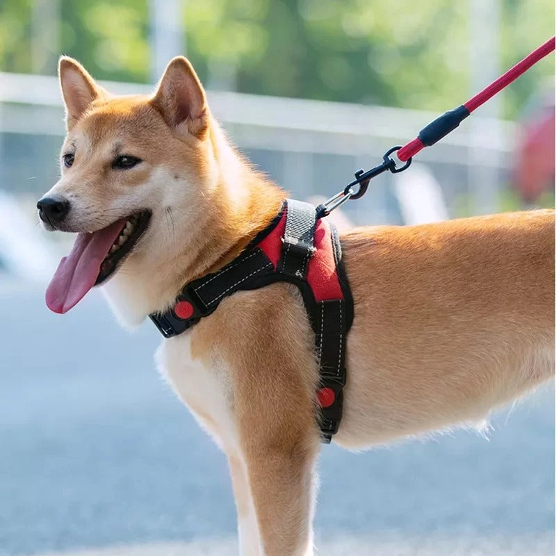 Einstellbare Weste für Kleine und Große Hunde