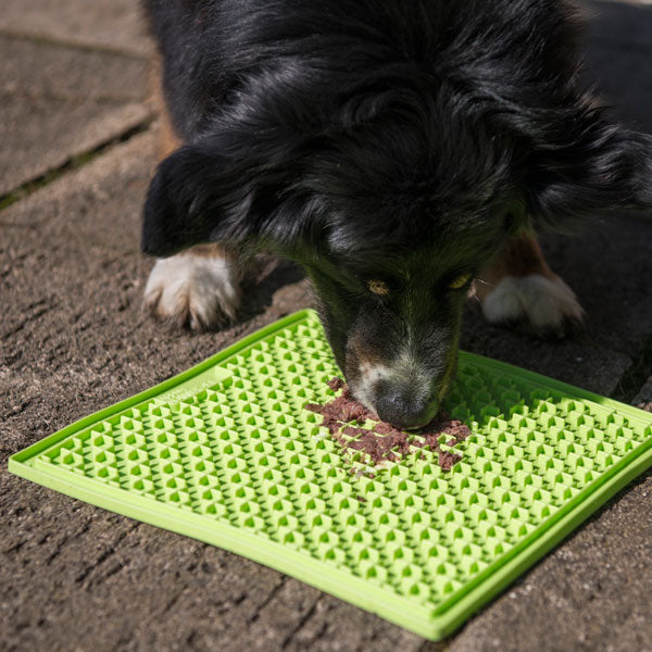 Industripet LickiMat Buddy Large - Grün