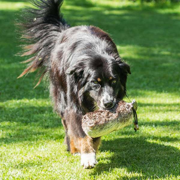 PROCYON Felldummy 500 g