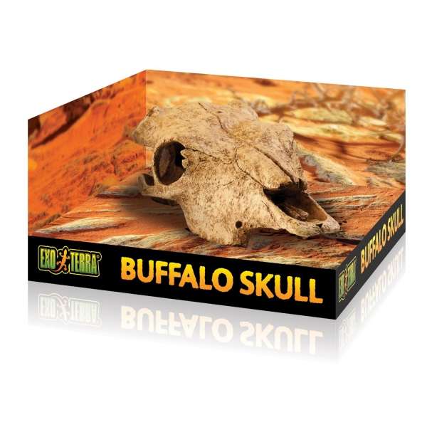 EXOTERRA Buffalo Skull