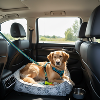 Sicherheitsgurt verschiedene Farben in Verwendung