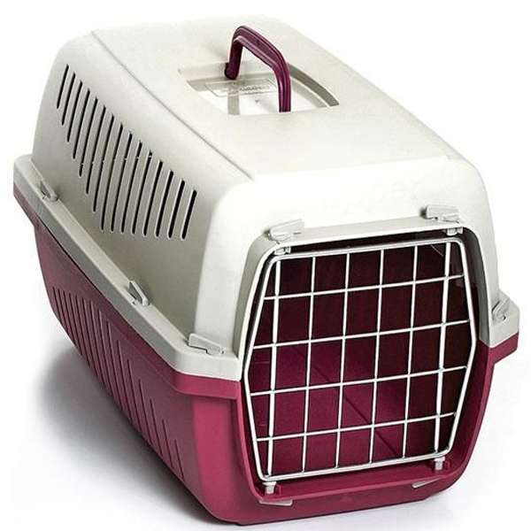 Marchioro Transportbox SKIPPER 2 - Grün-Grau