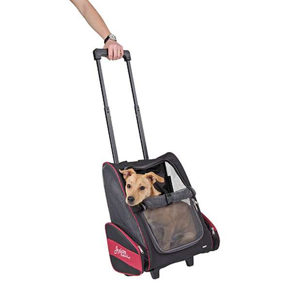 Kerbl Trolley Vacation