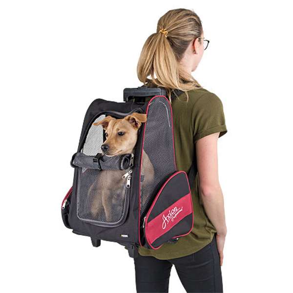 Kerbl Trolley Vacation