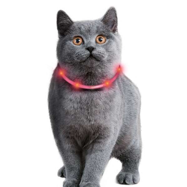 Karlie Visio Light Cat LED-Schlauch mit USB - Grau