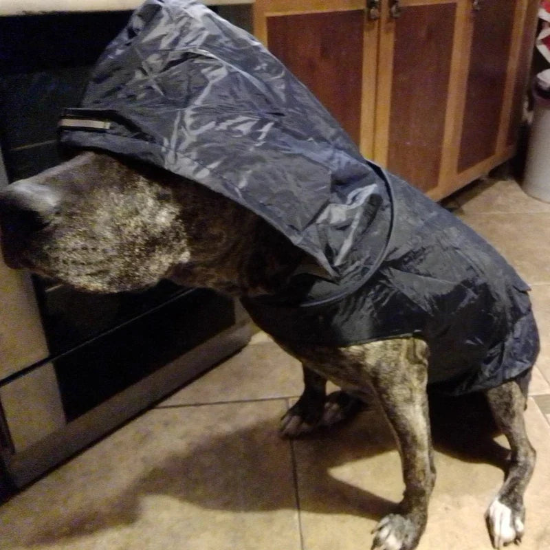 Wasserdichter Hunde-Regenmantel: Kapuzenjacke mit reflektierenden Streifen